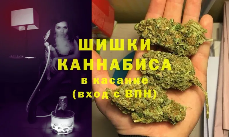 Бошки марихуана Ganja  Моздок 